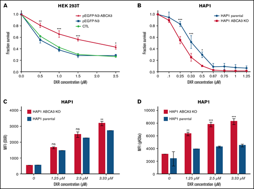 ABCA3 expression induces resistance to DXR and GO in myeloid cells. (A) MTT assays (Cell Growth Determination kit, Sigma-Aldrich) determining the survival proportions of HEK 293T cells nontransfected and those transfected (using JetPrime) with the plasmids pEGFP-N3 and pEGFP-N3-ABCA3 encoding ABCA3 fused to GFP. (B) MTT assays of HAP1 parental cells and HAP1 cells knocked out for ABCA3 (HAP-ABCA3-KO) using CRISPR-Cas9–induced indels (product ID HZGHC006065c005, Horizon Discovery) upon increasing concentrations of DXR (48-hour incubation). (C) Uptake of DXR in HAP1 parental cells and HAP1-ABCA3-KO cells. The mean fluorescence intensity (MFI) was measured by flow cytometry analysis HAP1 cells after 6-hour exposure to increasing concentrations of DXR. (D) gammaH2AX expression in HAP1 parental cells and HAP1-ABCA3-KO cells exposed to DXR. The primary antiphospho-gammaH2AX antibody (Ser139; Cell Signaling Technology) and secondary anti-rabbit APC-linked antibody (Cell Signaling Technology) was used. (A-D) The mean +/− SEM (n = 3) and P values from Sidak’s multiple analyses are shown (*P < .05; **P < .01; ***P < .001).