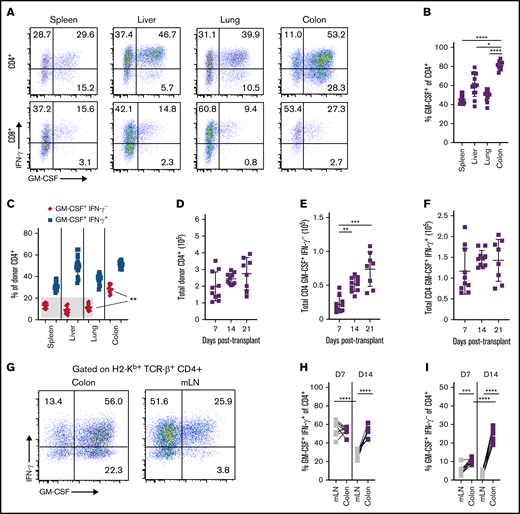 Emergence of distinct CD4+ GM-CSF+ T-cell populations in the GI tract during acute GVHD. Lethally irradiated Balb/c mice were transplanted with B6 bone marrow (5 × 106) plus spleen cells (adjusted to yield an αβ T-cell dose of 8 × 105). (A) Representative dot plots depicting the expression of GM-CSF and IFN-γ in donor-derived (H-2Kb+, TCR-β+) CD4+ (top) or CD8+ (bottom) T cells isolated from indicated tissues 21 days posttransplantation. (B) The percentage of donor CD4+ T cells expressing GM-CSF in each tissue. (C) The percentage of donor-derived CD4+ T cells that were either GM-CSF+ IFN-γ− or GM-CSF+ IFN-γ+ in each tissue. Results from panels B and C are from 2 independent experiments (n = 15). (D-F) The total number of CD4+ T cells (D), CD4+ GM-CSF+ IFN-γ− T cells (E), and CD4+ GM-CSF+ IFN-γ+ T cells (F) in the colon at 7, 14, and 21 days’ posttransplantation. Data are from 2 experiments (n = 8-10 mice). (G) Representative dot plot gated on donor CD4+ T cells expressing GM-CSF and/or IFN-γ in the colon and mLN at 14 days’ posttransplantation. (H-I) The percentage of GM-CSF+ IFN-γ+ (H) and GM-CSF+ IFN-γ− (I) donor CD4+ T cells in the indicated tissues at 7 and 14 days’ posttransplantation. Data for panels H and I are from 2 experiments (n = 9-10 mice per time point). *P < .05, **P < .01, ***P < .001, ****P < .0001. D7, day 7; D14, day 14.