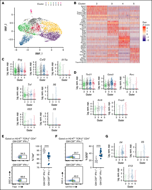 scRNAseq defines 2 transcriptionally discrete CD4+ GM-CSF+ T-cell populations in the colon. Lethally irradiated Balb/c mice were transplanted with B6 bone marrow (5 × 106) plus spleen cells (adjusted to yield an αβ T-cell dose of 8 × 105). (A) Uniform manifold approximation and projection (UMAP) dimensional reduction of scRNAseq data of flow-sorted, donor-derived T cells from the colons of transplant recipients 21 days posttransplantation. Unsupervised clustering using Seurat revealed 7 transcriptionally distinct clusters using a resolution of 0.4. (B) Heat map depicting z-scored expression of the top 10 overexpressed genes in CD4+ T-cell clusters (clusters 2-5) relative to all other cells. (C-D) Violin plots showing log-normalized expression of the indicated proinflammatory cytokines (C) and CD4+ T-cell lineage-defining transcription factors (D). (E-F) Representative flow cytometry dot plots and summary data depicting T-bet (E) and Gata3 (F) expression on donor CD4+ GM-CSF+ IFN-γ+ or CD4+ GM-CSF+ IFN-γ– T cells in the colon. (G) Violin plots showing log-normalized expression of the indicated Th2-associated genes in CD4+ T-cell clusters. Data are from 2 to 3 experiments. In UMAP and violin plots, each dot represents a single cell. ****P < .0001. Log. Norm. Expr., log-normalized expression, SSC-A, side scatter area.