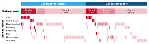 Bleeding events WHO grade 2 and higher in the development and validation cohorts. This plot shows bleeding events by location, as labeled on the left. Bleeding events are depicted by the colored bars, and each column represents 1 of the 168 patients with a WHO grade 2 bleeding or higher. Colors reflect the bleeding grade, as labeled on the top.