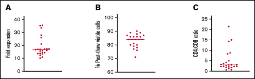 Preclinical testing of VST products infused into patients on this study. (A) Fold expansion of VSTs in culture. (B) Percentage of viable cells after thawing of cryopreserved products. (C) Ratio of CD4:CD8 T cells in each product. Lines in all panels represent median values.