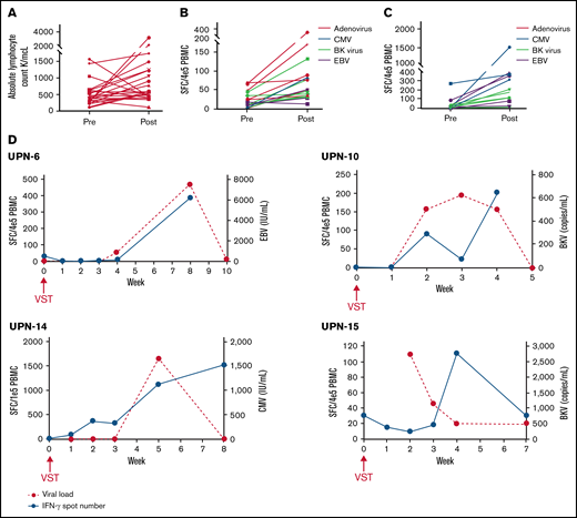 Increase in antiviral T cells in PB of patients after receiving scheduled VSTs. (A) Absolute lymphocyte counts at infusion (pre) and 30 days after VST infusion (post) in all recipients. (B,C) Baseline (preinfusion) and peak (any point postinfusion) quantitated antiviral T cells as determined by interferon-γ ELISpot in recipients without any viremia and with viremia that cleared without intervention, respectively. (D) Representative examples of ELISpots from nontreatment failure patients with viremia that resolved with corresponding curves showing the kinetics of viremia.