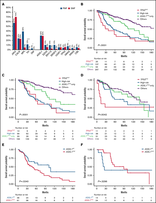 Genetic mutations frequency and Kaplan-Meier estimates of overall survival. (A) Bar graph reporting the frequency of driver and nondriver genetic mutations among patients with PMF and SMF. (B-D) Kaplan-Meier estimates of overall survival (OS) in the entire series of patients with MF (B) or those with PMF (C) or SMF (D) separately, according to the 4-tier genomic classification (NGS) proposed by Luque Paz et al.5 (E-F) Kaplan-Meier estimates of OS in high-risk patients with PMF (E) and SMF (F) by the presence or absence of ASXL1mut. *P < .1, **P < .001, ****P < .0001. DM, double mutated; TN, triple negative; WT, wild type.