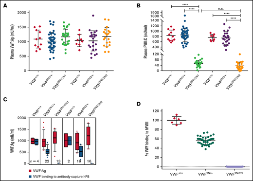 Characterization of VWF and FVIII expression in type 2N VWD model mice. Blood samples were collected from 2 lines of VWF2N model mice by tail bleeds using 3.8% sodium citrate as an anticoagulant, and plasmas were isolated for VWF and FVIII assays. Plasmas from VWF+/+ littermates were used as controls in parallel. (A) Plasma VWF antigen (VWF:Ag) levels. Mouse VWF antigen (VWF:Ag) levels were determined by ELISA using anti-mVWF monoclonal antibody 344.2 for capture and biotin-conjugated monoclonal antibody 332.2 for detection. Plasma pooled from our wild-type C57BL/6J colony was used as the standard. (B) Plasma functional FVIII activity (FVIII:C) levels. Plasma FVIII:C levels were determined by a chromogenic assay. Recombinant human B-domain deleted FVIII (rhFVIII, Xyntha) was used as the standard. (C) The capacity of VWF binding to human FVIII. Anti–human FVIII monoclonal antibody 103.1 was coated on a 96-well plate, and rhfFVIII (Kogenate) was captured from a 1-U/mL solution. Plasmas from VWF2N mice were incubated with the antibody captured rhfF8, unbound mVWF was washed off, and the remaining FVIII-bound mVWF was detected using mVWF ELISA detection reagents. The standard curve was constructed by measuring mVWF binding from serially diluted pooled plasma from our wild-type C57BL/6J colony. (D) The percentage of mVWF capable of binding to captured hFVIII. Data from 2N1 and 2N2 colonies were combined for this analysis. The percentage was calculated by dividing the level of VWF binding to antibody-captured hFVIII by the plasma VWF level in the same animal (using data from Figure 2C). ****P < .0001. n.s., no statistically significant difference between 2 groups. These results demonstrate that VWF2N mice have normal levels of plasma VWF but are incapable of binding FVIII, resulting in severely reduced levels of plasma FVIII:C.