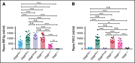 The impact of VWF on functional plasma FVIII:C levels in various mouse models of VWD. We compared how VWF impacts plasma FVIII:C expression levels in VWF2N/−, VWF2N/+, VWF2N/2N, VWF+/+ (littermates), VWF+/−, and VWF−/− mice. We crossed VWF2N/2N with VWF−/− mice to generate compound heterozygous VWF2N/- mice. Blood samples were collected from mice via retro-orbital venous plexus bleeds using 3.8% sodium citrate as an anticoagulant. Plasma VWF:Ag levels were determined by ELISA using anti-mVWF specific antibodies, and pooled plasma from wild-type C57BL/6J mice was used as the standard. Plasma FVIII:C levels were determined by a chromogenic assay, and rhF8 was used as the standard. (A) Plasma VWF:Ag levels. (B) Plasma FVIII:C levels. *P < .05; **P < .01; ***P < .001; ****P < .0001. n.s., no statistically significant difference between the 2 groups. These data demonstrate that the viability of plasma FVIII:C in VWD model mice is governed by its association with or inability to associate with VWF.
