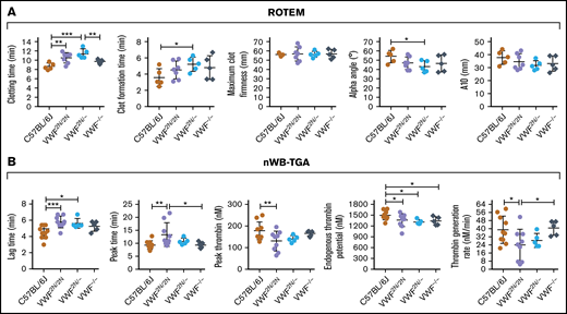 Assessment of the biological hemostatic properties in VWF2N mice whole blood. Blood samples were collected from the vena cava (terminal experiment) using 3.8% sodium citrate as an anticoagulant (vol/vol 1:10) and analyzed by nonactivated ROTEM analysis and nWB-TGA. (A) ROTEM analysis of whole blood. ROTEM standard cups were preloaded with 21 µL of 0.2M CaCl2, and then 300 µL of whole blood was added. Clot formation was recorded using the NATEM measurement until maximum clot firmness reached its peak. (B) nWB-TGA analysis of whole blood. Fifteen microliters of whole blood was recalcified in the presence of a rhodamine-based, thrombin-cleavable, fluorescent substrate and added in duplicate to filter paper placed within the wells of a black 96-well plate. Change in fluorescence was measured over time and converted to thrombin generation. Conversions were calculated from a curve generated during a calibration experiment using a thrombin standard. C57BL/6J and VWF−/− mice served as controls. *P < .05; **P < .01; ***P < .001. These data demonstrate that functional hemostatic properties in VWF2N/2N whole blood are defective.