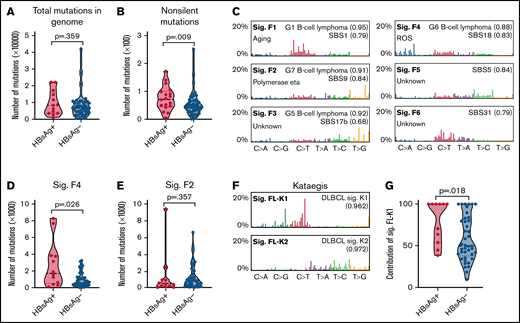 Enhanced mutagenesis and enrichment of selected mutational signatures in HBsAg+ FLs. (A-B) Comparison of the mutation load in the whole genome (A) or coding genome (B) between HBsAg+ and HBsAg− FLs. (C) Mutational signatures were identified according to the 96-substitution classifications from 61 pairs of FL/control samples sequenced by WGS. (D-E) Comparison of Sig.F4 and Sig.F2 in HBsAg+ and HBsAg− FLs. (F) Two mutational signatures (Sig.FL-K1 and Sig.FL-K2) of kataegis were identified in FL genomes. (G) Comparison of the contribution of Sig.FL-K1 to kataegis identified in HBsAg+ and HBsAg− FLs. The numbers in brackets in panel C and panel F represent the cosine similarities between current signatures and indicated signatures. The Mann-Whitney U test was used to calculate the P value. ROS, reactive oxygen species; sig., signature.