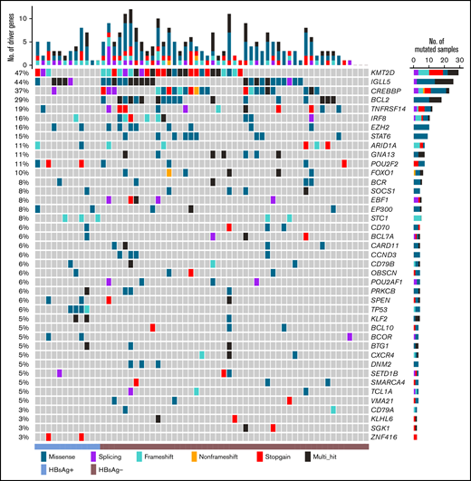 List of the top cancer driver genes in the Chinese FL cohort. Genes affected by somatically occurring, nonsilent mutations in FL samples sequenced by WGS (n = 61) and considered to be significantly mutated (q < 0.05 in ≥2 prediction methods; IntOGen, ActiveDriverWGS, and MutSigCV) are displayed.