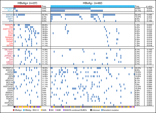 Comparison of somatic mutation patterns in HBsAg+ and HBsAg− FLs. Frequency of nonsilent mutations in HBsAg+ (n = 27) and HBsAg− (n = 82) FLs identified from WES/WGS and/or lymphochip. The histological grades for each sample are marked by different color bars at the bottom. The P value was compared by the χ2 test. G, grade.