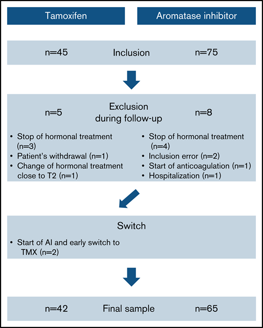 Flowchart of the study.
