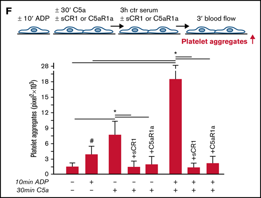 Figure 2F.
