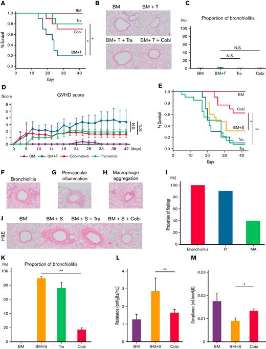 Cobimetinib suppresses murine pulmonary GVHD, whereas trametinib does not. (A-D) B10.BR mice were treated with CY/TBI and transplanted with bone marrow cells (BM) only or BM plus T cells (BM + T) from C57BL/6 mice. (A) Survival curves of mice (n = 10 per group) transplanted with BM or BM + T and treated with trametinib or cobimetinib. Transplantations were performed twice, independently. (B) H&E–stained specimens of bronchioles from mice transplanted with BM or BM + T and treated with trametinib or cobimetinib. Proportions of bronchiolitis among all bronchioles (C) and clinical GVHD scores (D) of the mice. (E-Q) B10.BR mice were treated with CY/TBI and transplanted with BM only or BM plus splenocytes from C57BL/6 mice. (E) Survival curves of mice transplanted with BM or BM + S and treated with trametinib, cobimetinib, or tacrolimus. Tacrolimus-treated group, n = 10 mice; other groups, n = 20 mice. Transplantations were performed 4 times independently. (F-H) Pathologic images of H&E–stained specimens from mice transplanted with BM + S: bronchiolitis (F), perivascular inflammation (G), and macrophage aggregation (H). (I) Proportions of mice with bronchiolitis, perivascular inflammation (PI), and macrophage aggregation (MA) among 10 mice given BM + S. (J) Representative pathologic images of H&E–stained tissues around bronchioles. (K) Proportions of bronchiolitis in all mouse bronchioles (n = 5 mice per group). Bars, mean values; error ranges, standard error of the mean (SEM). (L) Airway resistance of the mice is shown. Bars, mean values; error range, SEM. (M) Bar graphs of lung compliance data are shown. Bars, mean; error range, SEM. (N-Q) Immunohistochemically stained murine lung specimens. Representative images of CD4 staining (N) and numbers of CD4+ cells in peribronchial areas (O) (n = 5 per group). Representative images of B220 staining (P) and numbers of B220+ cells in peribronchial areas (Q) (n = 5 per group). (R) B10.BR mice were treated with CY/TBI and transplanted with BM only, or BM with B and T cells from C57BL/6 mice. Survival curves of mice (n = 10 per group) transplanted with BM or BM + B/T cells and treated with trametinib or cobimetinib. Transplantations were performed twice independently. The log-rank test was used to compare survival rates between the 2 groups, and the two-tailed unpaired t test was used for comparisons between 2 groups of continuous variables. ∗P < .05, ∗∗P < .01. Cobi, cobimetinib; N.S., not significant; Tra, trametinib.