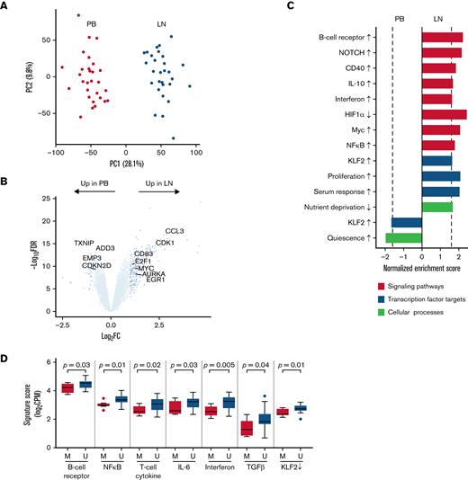 The CLL transcriptome is modulated by the tumor microenvironment. (A) Principal component analysis of bulk RNA-seq in CD19+ tumor cells from paired PB (red) and LN (green) samples (n = 29 pairs). (B) Volcano plot of log2 fold-change (FC) in gene expression between PB and LN bulk RNA-seq vs -log10 false discovery rate (FDR). Differentially expressed genes (dark blue, n = 285) were defined as FC ≥2 and FDR <0.05. (C) Gene signatures enriched (normalized enrichment score ≥|1.6| as shown by the dotted line and FDR <0.05) in either PB or LN bulk RNA-seq. Signatures were categorized as signaling pathways, transcription factor targets, and cellular processes. Signatures comprised of upregulated genes are indicated by an up arrow (↑) while downregulated genes are indicated by a down arrow (↓). (D) Comparison of the indicated signatures between mutated (M; n = 8) and unmutated (U; n = 21) CLL. A signature score is the average expression of genes comprising each signature for a given sample. Box and whiskers show the median, IQR, and 1.5 times IQR of the indicated signature scores across LN samples. IQR, interquartile range.