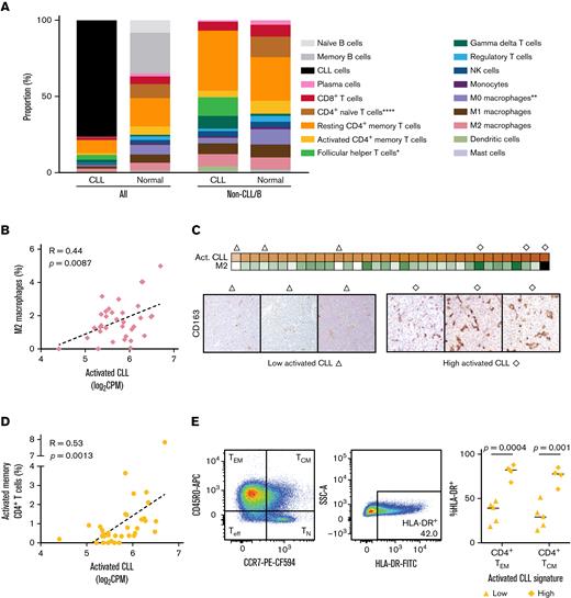 Activated CLL cells interact with the immune microenvironment. (A) Mean abundance of the indicated cell types as estimated by CIBERSORT deconvolution of bulk RNA-seq data from CLL (n = 34) and normal LN samples (n = 4). There were significantly fewer follicular helper T cells (P < .05) and more CD4+ naïve T cells (P < .0001) and uncommitted macrophages in CLL LNs (P < .01) than normal LNs. (B) Correlation between the activated CLL signature and the abundance of M2 macrophages as estimated by CIBERSORT deconvolution of bulk RNA-seq data (n = 34). (C) Top: heatmap of activated CLL signature expression and CIBERSORT estimated abundance of M2 macrophages. Bottom: triangle and diamond symbols identify LN samples used for immunohistochemical staining of CD163+ M2 macrophages with low and high expression of the activated CLL signature. The average number of CD163+ cells per high-power field (40×) in each sample is provided immediately below. (D) Correlation between the activated CLL signature and the abundance of activated memory CD4+ T cells as estimated by CIBERSORT deconvolution of bulk RNA-seq data (n = 34). (E) Left: gating strategy of HLA-DR+ CD4+ effector memory (TEM CD3+CD19-CD14-CD4+CD8-CD45RO+CCR7-) and central memory (TCM CD3+CD19-CD14-CD4+CD8-CD45RO+CCR7+) cells in a representative flow cytometry dot plot. Right: proportion of CD4+ TEM and TCM cells that are HLA-DR+ in LN samples with low (n = 5) and high (n = 4) expression of the activated CLL signature.