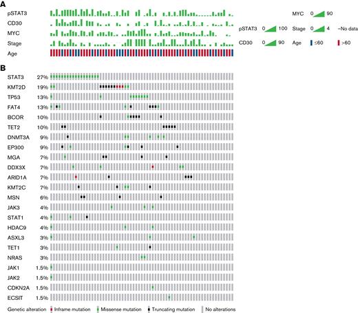 ENKTL mutation profiles from targeted NGS. (A) Clinical and IHC characteristics. (B) Mutation profiles of 29 examined genes.