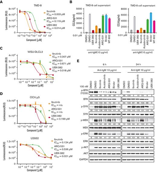 Inhibitory effects of UBX-382 on BCR-mediated downstream signaling. (A) Evaluation of inhibitory effects on cell proliferation by ibrutinib (yellow circle), ARQ-531 (green diamond), and UBX-382 (red square) in TMD-8 cells. The cells were seeded and treated with increasing doses of ibrutinib, ARQ-531, and UBX-382 for 3 days. Cell proliferation was measured by the Cell Titer-Glo assay in duplicates. Data are expressed as the mean ± SEM. (B) Secreted CCL3 and CCL4 levels in the TMD-8 cells. Secretion of CCL3 (left) and CCL4 (right) by the TMD-8 cells following anti–immunoglobulin M (IgM) stimulation for 8 hours and 10 nM UBX-382, ibrutinib, acalabrutinib, ARQ-531, Binder, or MT-802 for 24 hours. Each graph indicates the mean concentration of CCL3 and CCL4 produced by the TMD-8 cells cultured in a medium with DMSO, UBX-382, ibrutinib, acalabrutinib, ARQ 531, Binder, or MT-802 in the presence of 10 μg/mL anti-IgM. The experiments were performed in duplicates. Data represent the mean ± SEM. (C,D) Comparison of antiproliferative effect following treatment with ibrutinib (yellow circle), ARQ-531, and UBX-382 in WSU-DLCL2, OCI-Ly3, or U2932 cells. The cells were seeded and treated with increasing concentrations of ibrutinib, ARQ-531, and UBX-382 for 5 days. The assay was performed in duplicates. Data are expressed as the mean ± SEM. (E) Suppression of BCR-mediated signaling axis by UBX-382. U2932 cells were treated with 100 nM ibrutinib, acalabrutinib, ARQ-531, Binder, and UBX-382 for 6 and 24 hours and stimulated with 10 μg/mL anti-IgM for 15 minutes. Phosphorylation and total protein levels of BTK, SYK, MEK, and ERK were visualized via immunoblotting using indicated specific antibodies. GAPDH was used as a loading control. The quantitative results of the band intensity are labeled under the corresponding protein band (bottom). n/a, not applicable.