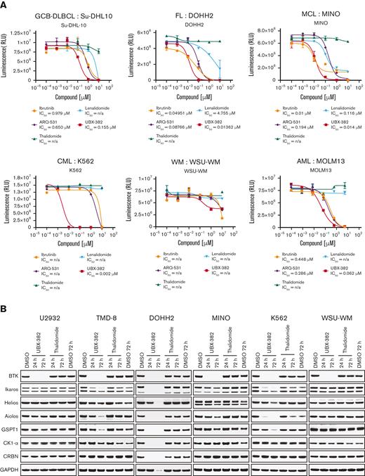 Validation of the antiproliferative activity of UBX-382 in diverse cell lines derived from hematological malignancies. (A) Inhibitory effects of ibrutinib (yellow circle), ARQ-531 (purple diamond), Thalidomide (hunter green triangle), Lenalidomide (sky blue inverted triangle), and UBX-382 (red square) on cell proliferation in the examined cell lines at the indicated increasing doses were monitored for 5 days by performing Cell Titer-Glo 2.0 Assay. Germinal center B-cell (GCB)–like DLBCL cell line: Su-DHL10; multiple myeloma cell line: U266; follicular lymphoma (FL) cell line: DOHH2; MCL cell line: MINO; chronic myeloid leukemia (CML) cell line: K562; and acute myeloid leukemia (AML) cell line: MOLM13. Experiments were performed in duplicates. All data are expressed as the mean ± SEM. (B) Immunoblotting analysis of BTK degradation and CRBN neosubstrates after treatment with UBX-382 and thalidomide. Hematological cell lines (U2932, TMD-8, DOHH2, MINO, K562, and WSU-WM) were treated with 100 nM thalidomide and UBX-382 for 24 hours and 72 hours. Immunoblotting was performed to verify the levels of BTK, Ikaros, Helios, Aiolos, GSPT1, and CK1-α using specific antibodies. (C) CRBN neosubstrate protein levels were measured by immunoblotting and values of the remaining substrates, Ikaros, Aiolos, GSPT1, and CK1-α, were normalized using GAPDH intensity value as a loading control. WM, Waldenström macroglobulinemia.