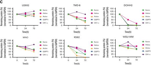 Validation of the antiproliferative activity of UBX-382 in diverse cell lines derived from hematological malignancies. (A) Inhibitory effects of ibrutinib (yellow circle), ARQ-531 (purple diamond), Thalidomide (hunter green triangle), Lenalidomide (sky blue inverted triangle), and UBX-382 (red square) on cell proliferation in the examined cell lines at the indicated increasing doses were monitored for 5 days by performing Cell Titer-Glo 2.0 Assay. Germinal center B-cell (GCB)–like DLBCL cell line: Su-DHL10; multiple myeloma cell line: U266; follicular lymphoma (FL) cell line: DOHH2; MCL cell line: MINO; chronic myeloid leukemia (CML) cell line: K562; and acute myeloid leukemia (AML) cell line: MOLM13. Experiments were performed in duplicates. All data are expressed as the mean ± SEM. (B) Immunoblotting analysis of BTK degradation and CRBN neosubstrates after treatment with UBX-382 and thalidomide. Hematological cell lines (U2932, TMD-8, DOHH2, MINO, K562, and WSU-WM) were treated with 100 nM thalidomide and UBX-382 for 24 hours and 72 hours. Immunoblotting was performed to verify the levels of BTK, Ikaros, Helios, Aiolos, GSPT1, and CK1-α using specific antibodies. (C) CRBN neosubstrate protein levels were measured by immunoblotting and values of the remaining substrates, Ikaros, Aiolos, GSPT1, and CK1-α, were normalized using GAPDH intensity value as a loading control. WM, Waldenström macroglobulinemia.