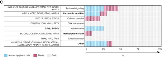 Reconstructing clonal evolution from dysplasia to AML. (A) Study design. BM aspirates collected from 358 patients with newly diagnosed AML were analyzed using MFC. In 21 patients, leukemic cells were isolated using FACS according to patient-specific aberrant phenotypes and so were cells of the neutrophil (Neutro), monocytic (Mono), and erythroid (Erythro) lineages whenever dysplastic phenotypes were observed in 1 or more lineages. T cells were systematically isolated for germline DNA. NGS of genes frequently mutated in myeloid neoplasms was performed in all cell types available in each patient. (B) Mutational status of 33 genes in T cells (T), neutrophils (N), monocytes (M), erythroblasts (E), and blasts (B) isolated from 21 patients at the onset of AML; cell types not available for NGS are represented with gray lines. Mutated genes were colored in a gradient of red according to the variant allele frequency (VAF). Three models were identified: (1) stable transition according to identical mutational landscapes in blasts and dysplastic cells; (2) branching evolution with blasts originating from leukemic stem cells other than the ones driving dysplasia, due to mutations absent in blasts and present in dysplastic cells; and (3) clonal evolution with new mutations in blasts onto mutations shared between these and dysplastic cells. (C) Percentage of mutations grouped according to functional categories that were simultaneously mutated in mature dysplastic cells and blasts (gray), or that were private in the former (blue) and the latter (purple). Functional categories with significantly different distributions were highlighted in bold.