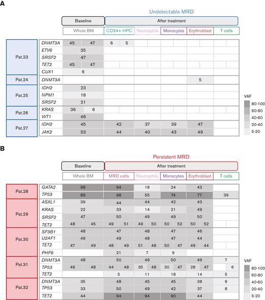 Different clonal involvement in dysplastic myelo-erythropoiesis, leukemic transformation, and chemoresistance. (A-B) Patients (Pat.) with undetectable (n = 5) and persistent (n = 5) MRD had phenotypically normal CD34+ HPCs and MRD cells, respectively isolated, whereas cells of the neutrophil, monocyte, and erythroid lineages were isolated in all patients. NGS of genes frequently mutated in myeloid neoplasms was performed in all cell types available in each patient. The VAF of mutated genes was colored in a gradient of gray. If 2 mutations in the same gene were detected, the 2 VAFs are indicated. (C) Representative patient with exome sequencing of dysplastic cell types, blasts at diagnosis, and persistent MRD. The fish plot illustrates different clonal compositions at different stages of disease progression. The blue arrow is pointing to a mutation present in dysplastic cells though absent in blasts at diagnosis and MRD, the olive arrow is pointing to mutations present in dysplastic cells and blasts at diagnosis though not at MRD, and the black arrow points to mutations present in MRD and dysplastic cells though not in blasts at diagnosis. The bar widths indicate the respective VAFs.