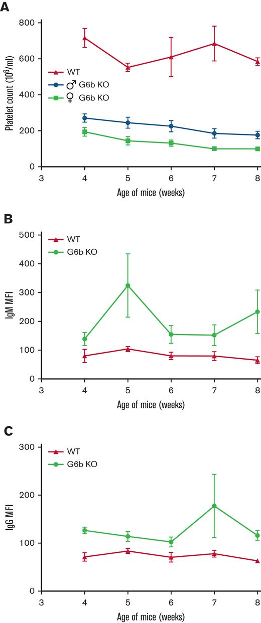 G6b-B–deficient platelets have increased surface IgM and IgG abundance. (A) Whole blood platelet counts from young, 4 to 8 weeks WT, and male and female G6b KO mice were measured. (B-C) Platelets from WT and G6b KO mice were double-stained for GPIbα and either IgM (B) or IgG (C). Flow cytometry analysis revealed that G6b KO mice exhibit higher level of IgM and IgG bound to their platelet surface than WT. Data are means ± SEM. n = 12 per condition.