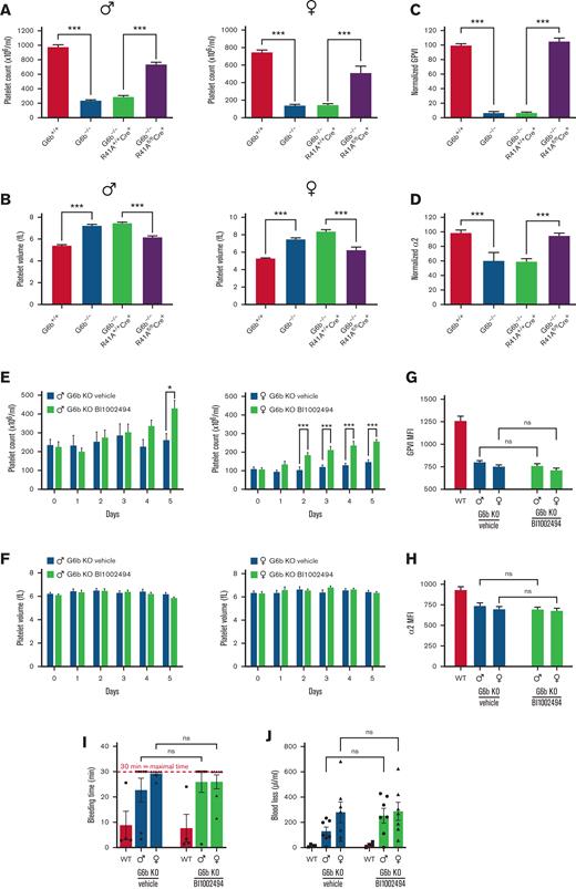 Reduced Syk activity rescues macrothrombocytopenia and GPVI expression in G6b-deficient mice. (A) Platelet counts and (B) volumes of WT, G6b KO, G6b-/-R41A+/+Cre+, and G6b-/-R41Afl/flCre+ mice were measured, n = 9 to 43 mice/genotype. (C) GPVI and (D) α2β1 platelet surface expression of WT, G6b KO, G6b-/-R41A+/+Cre+, and G6b-/-R41Afl/flCre+ mice were measured by flow cytometry n = 5 to 18 mice per genotype. ∗∗∗P < .001, 1-way ANOVA with Dunnett’s test, mean ± SEM. (E-J) G6b KO mice received BI1002494 (30 mg/kg per bid) orally via gavage twice a day for 5 days. (E) Platelet counts and (F) volumes of G6b KO mice were monitored before (day 0) and every day for 5 days, n = 10 to 15 mice per genotype. ∗∗P < .01, ∗∗∗P < .001, 2-way ANOVA Tukey’s test, mean ± SEM. (G) GPVI and (H) α2β1 platelet surface expression of WT and G6b KO mice were measured 5 days after BI1002494 administration (30 mg/kg per bid) by flow cytometry, n = 6 to 10 mice per genotype. (I) Hemostatic response was measured 5 days after BI1002494 administration, in saline tail bleeding assay by an excision of a 3 mm portion of the tail tip followed by immersion of the tail in 0.9% isotonic saline at 37 °C. Plotted is the time to complete the arrest of bleeding. Each symbol represents 1 animal. (J) Blood loss was measured using colorimetric dosage of hemoglobin. Experiments were conducted in a double-blinded manner, n = 7 mice per genotype per condition. 1-way ANOVA with Sidak’s test, mean ± SD. ns, non-significant.