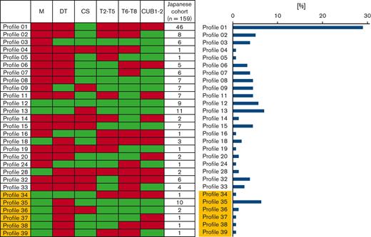 Anti-ADAMTS13 autoantibody immunoprofiles in the Japanese iTTP cohort. Immunoprofiles were formed based on the presence or absence of anti-M, anti-DT, anti-CS, anti-T2-T5, anti-T6-T8, and anti–CUB1-2 autoantibodies. The green and red cells indicate the presence and absence of anti-M, anti-DT, anti-CS, anti-T2-T5, anti-T6-T8, and anti–CUB1-2 autoantibodies, respectively (left graph). The percentage of patients with a specific immunoprofile is depicted in the right graph. The same profiles were found as the ones described in our previous report based on a mainly Caucasian cohort,13 except for profiles 10, 17, 21, 22, 23, 25, 26, 27, 29, 30, and 31. Profiles 34 to 39 (highlighted in orange) were only detected in the Japanese cohort.