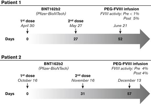 Timeline of the events. Patient 1 received the first and the second dose of the SARS-CoV-2 vaccine (BNT162b2, Pfizer-BioNTech) in April and May, respectively. In June, he was infused with the PEG conjugates FVIII product turoctocog alfa pegol. Patient 2 received the first and the second dose of the SARS-CoV-2 vaccine (BNT162b2, Pfizer-BioNTech) in October and November, respectively. In December, he was infused with the PEGylated FVIII product damoctocog alfa pegol. A poor FVIII recovery after the PEGylated FVIII infusion was found for both patients. For patient 1, the pre- and postinfusion FVIII activity was <1% and 5%, respectively; for patient 2, the pre- and postinfusion FVIII activity was 4% unchanged.