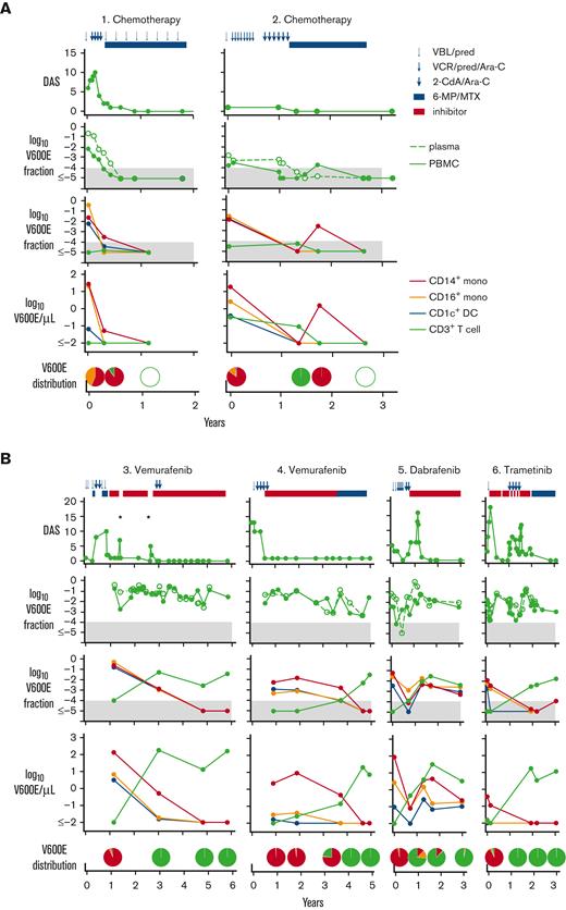 Clinical progress and distribution of BRAFV600E alleles in PBMC and sorted cell fractions. (A) Patients 1 and 2 treated with conventional chemotherapy. (B) Patients 3 to 6 treated with inhibitors. Pie charts depict the distribution of mutated cells as a proportion of all mutated cells detected in blood. Each chart is aligned as closely as possible to the corresponding time point. Blue symbols at the top indicate chemotherapy cycles; red bar indicates MAPK inhibitor. Clinical scores and mutation analyses over time are shown in rows (top to bottom). Filled gray areas indicate negative results below 0.0001. Disease Activity Score (DAS) was measured according to Donadieu et al17; BRAFV600E mutation fraction measured in total PBMC (filled symbols and lines) and plasma cell-free DNA (open symbols and broken line); BRAFV600E mutation fraction measured in sorted subsets; and mutated cells per μL in sorted subsets. Asterisks indicate rapid disease reactivation when treatment was suspended. Red line indicates classical CD14+ monocytes; orange line indicates CD16+ nonclassical monocytes; blue line indicates CD1c+ myeloid DC; and green line indicates CD3+ T cells. VBL/pred, vinblastine and prednisone; VCR/pred/Ara-C, vincristine, prednisone, and cytarabine; 2CdA/Ara-C, cladribine and cytrarabine; 6-MP/MTX: 6-mercaptopurine and methotrexate maintenance.
