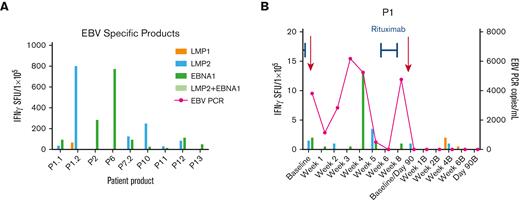 Anti-EBV T-cell activity and clinical response in patients treated with EBV-specific VSTs for active EBV infection. (A) Anti-EBV antigen (EBNA1, LMP1, LMP2) T-cell response of the EBV-specific VST products as detected by IFN-γ ELISpot assay. Anti-EBV antigen T-cell response and EBV viral load (copies per milliliter) in the recipient PB post-VST infusion for patient P1 treated with EBV infection (B) and timing of concomitant standard antiviral treatment. EBNA, Epstein-Barr nuclear antigen; LMP, latent membrane protein; PCR, polymerase chain reaction; SFU, spot forming units.