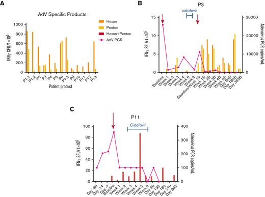 Anti-AdV T-cell activity and clinical response in patients treated with AdV-specific VSTs for active adenovirus (AdV) infection. (A) Anti-adenoviral antigen (hexon, penton) T-cell response of the AdV-specific VST products as detected by IFN-γ ELISpot assay. Anti-AdV antigen T-cell response and AdV viral load (copies per milliliter) in the recipient PB post-VST infusion for patient P3, P11 treated with AdV infection (B and C) and timing of concomitant standard antiviral treatment. PCR, polymerase chain reaction; SFU, spot forming units.