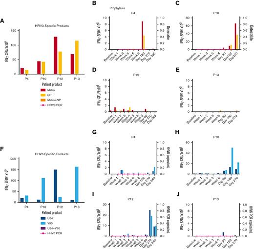 Anti-HPIV3 and HHV6 T-cell activity and clinical response. (A) Anti-HPIV3 antigen (matrix, NP) T-cell response of the HPIV3-specific VST products as detected by IFN-γ ELISpot assay. Anti-HPIV3 antigen T-cell response in the recipient PB and detection of HPIV3 by PCR of a nasal swab post-VST infusion for prophylaxis against HPIV3 (B-E). (F) Anti-HHV6 antigen (U54, V90) T-cell response of the HHV6-specific VST products as detected by IFN-γ ELISpot assay. (G-J) Anti-HHV6 antigen T-cell response and HHV6 viral load (copies per milliliter) in the recipient PB post-VST infusion for prophylaxis against HHV6. HHV6, human herpes virus 6; HPIV3, human parainfluenza virus 3; NP, nucleocapsid: PCR, polymerase chain reaction; SFU, spot forming units.