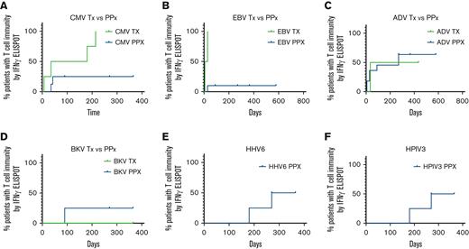 Time to detection of response to target viral antigens. (A) Time to detection of T-cell response to CMV for patients receiving VSTs as treatment (green; n = 4) and patients treated prophylactically (blue; n = 8). Time to detectable responses differed between those treated for infection vs prophylaxis (P = .019). Time to detection of T-cell response to EBV (B) for patients receiving VSTs as treatment (green; n = 2) and patients treated prophylactically (blue; n = 11). Time to detectable responses differed between those treated for infection vs prophylaxis (P = .002). Time to detection of T-cell response to Adv (C) for patients receiving VSTs as treatment (green; n = 2) and patients treated prophylactically (blue; n = 11). No difference in time to detectable response between treatment and prophylactic groups (P = .76). Time to detection of T-cell response to BKV (D) for patients receiving VSTs as treatment (green; n = 2) and patients treated prophylactically (blue; n = 3). No difference in time to detectable response between treatment and prophylactic groups (P = .617). Time to detection of T-cell response to HHV6 (E) and HPIV3 (F) for patients treated prophylactically (n = 4). Adv, adenovirus; BKV, BK virus; CMV, cytomegalovirus; HHV6, human herpes virus 6; HPIV3, human parainfluenza virus 3.