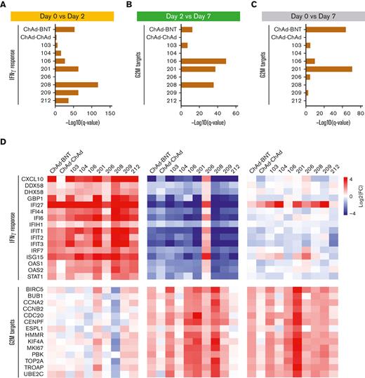 Immune transcriptomes following vaccination. (A-C) Interferon-regulated genes are induced upon vaccination. Genes expressed at significantly higher levels at days 2 and 7 compared with those at day 0 were significantly enriched in Hallmark gene sets. X-axis denotes statistical significance as measured by minus logarithm of FDR q-values. Y-axis denotes ranked terms by q-values. (D) Heatmaps show log2 FC of IFN-γ response genes (top) and G2M target genes (bottom) significantly regulated between day 0 and day 2, day 2 and day 7, and day 0 and day 7. FDR, false discovery rate; G2M, G2/M checkpoint.