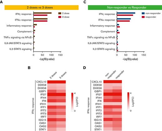 Comparison of immune transcriptomes by vaccine doses as well as antibody response after vaccination. (A) Genes expressed at significantly higher levels between days of 2-dose and 3-dose groups were significantly enriched in Hallmark gene sets. X-axis denotes statistical significance as measured by minus logarithm of FDR q-values. Y-axis ranked the terms by q values. (B) Heatmaps showing log2 FC of significantly upregulated genes between day 0 and day 1 of 2-dose and 3-dose groups. (C) Hallmark gene sets of genes expressed at significantly higher levels between days of nonresponder and responder groups. (D) Heatmaps of genes significantly activated between day 0 and day 1 of 2-dose and 3-dose groups. FDR, false discovery rate.
