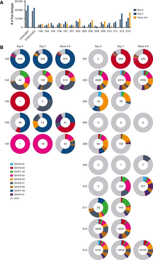 SARS-CoV-2 B-cell memory. (A) Bar graphs show the number of clonotypes in each patient after the vaccination. (B) Pie charts for IGHV show the distribution of antibody sequences of individuals before the vaccination and after 7 days and 4 to 5 weeks. The number of sequences analyzed for individual are shown in the inner circle. Sizes of pie slices are proportional to the number of clonally related sequences. Persisting clones (same IGV genes) in both time points are shown as colored slices. Gray indicates sequences not overlapped between individuals.