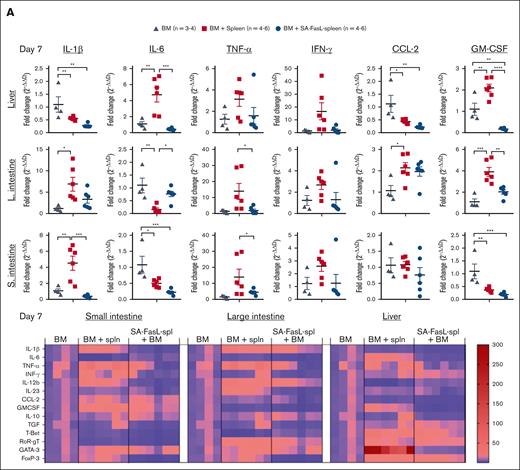 Transplantation with SA-FasL–engineered splenocytes results in reduced levels of anti-inflammatory and increased levels of regulatory cytokines in GVHD target tissues. Total RNA was isolated on day 7 (A) and 21 (B) from the liver, small intestine, and large intestine of F1 recipients of C57BL/6 bone marrow cells (BM) and BM cells cotransplanted with SA-FasL–engineered (BM + SA-FasL-spleen) or nonengineered (BM + spleen) splenocytes. The transcripts for the indicated cytokines and chemokines were analyzed using TaqMan RT-qPCR. Fold change expression (2–ΔΔCt) was calculated with respect to GAPDH as a house-keeping gene and BM-only recipients. Data are representative of 2 independent experiments and shown as mean ± SEM. For comparisons, 1-way ANOVA with Tukey post hoc test was used in panels A-C. ANOVA, analysis of variance; SEM, standard error mean. ∗P < .05; ∗∗P < .01; ∗∗∗P < .001; ∗∗∗∗P < .0001.