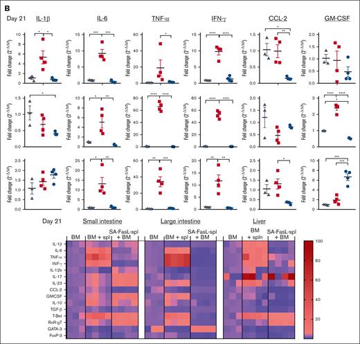 Transplantation with SA-FasL–engineered splenocytes results in reduced levels of anti-inflammatory and increased levels of regulatory cytokines in GVHD target tissues. Total RNA was isolated on day 7 (A) and 21 (B) from the liver, small intestine, and large intestine of F1 recipients of C57BL/6 bone marrow cells (BM) and BM cells cotransplanted with SA-FasL–engineered (BM + SA-FasL-spleen) or nonengineered (BM + spleen) splenocytes. The transcripts for the indicated cytokines and chemokines were analyzed using TaqMan RT-qPCR. Fold change expression (2–ΔΔCt) was calculated with respect to GAPDH as a house-keeping gene and BM-only recipients. Data are representative of 2 independent experiments and shown as mean ± SEM. For comparisons, 1-way ANOVA with Tukey post hoc test was used in panels A-C. ANOVA, analysis of variance; SEM, standard error mean. ∗P < .05; ∗∗P < .01; ∗∗∗P < .001; ∗∗∗∗P < .0001.