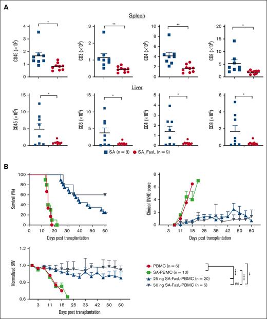 Transient display of SA-FasL protein on human PBMCs is effective in preventing xenogeneic aGVHD. (A) Absolute number of human cells recovered from NSG recipients. NSG mice were subjected to 200 cGy total body irradiation followed by IV infusion of neutrophil-depleted human PBMCs (5 × 106) engineered with SA-FasL (25 ng/106 cells) or equimolar of SA protein as control. Splenocytes and liver infiltrates harvested 5 days after infusion were analyzed using flow cytometry gating on total human cells (CD45+), CD4+, or CD8+ T cells. Data were pooled from 3 independent experiments. (B) Prevention of xenogeneic aGVHD using SA-FasL–engineered PBMC. Irradiated NSG mice underwent transplantation with 10 × 106 human PBMCs left unmodified or engineered with SA or the indicated doses of SA-FasL. Animals were monitored for the signs and development of xenogeneic aGVHD. For comparison of means, unpaired two-tailed t test was used in panel A. Survival curve comparison was done by using log-rank (Mantel Cox). Data are represented as mean ± SEM. SEM, standard error mean. ∗P < .05; ∗∗P < .01; ∗∗∗P < .001; ∗∗∗∗P < .0001.
