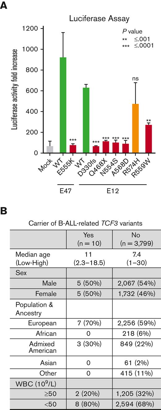 Functional characterization of TCF3 variants and their association with clinical features of pediatric B-ALL. (A) Relative μE5/μE2 promoter activity in luciferase reporter assay using HEK293T cells ectopically expressing TCF3–E12 WT or TCF3-E12 variants. TCF3-E47 p.E555K was included as a positive control. The results are represented as the average ± standard deviation of 6 independent experiments. (B) Characteristics of 10 patients with TCF3 germline variant compared with 3799 patients with B-ALL treated in COG P9904/5/6 and COG AALL0332 clinical trials. WBC, white blood count.
