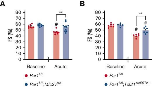 Cardiomyocyte and cardiac fibroblast cell types specific knockout mice demonstrate reduced doxorubicin-induced cardiac injury. LV FS was assessed in (A) Par1fl/fl;Mlc2vcre+ cardiomyocyte-specific Par1 knockout mice and Par1fl/fl wild-type controls (n = 7-10/group per timepoint) or (B) Par1fl/fl;Tcf21creERT2+ cardiac fibroblast specific Par1 knockout mice and Par1fl/fl wild-type controls (n = 5-7/group per timepoint) at baseline and on day 5 in the acute model of doxorubicin-induced cardiac injury by conscious echocardiography. #P < .05 vs baseline of the respective genotype; ∗∗P < .01; 2-way ANOVA with post hoc Holm-Sidak tests. Data are represented as individual values with the mean and SEM.