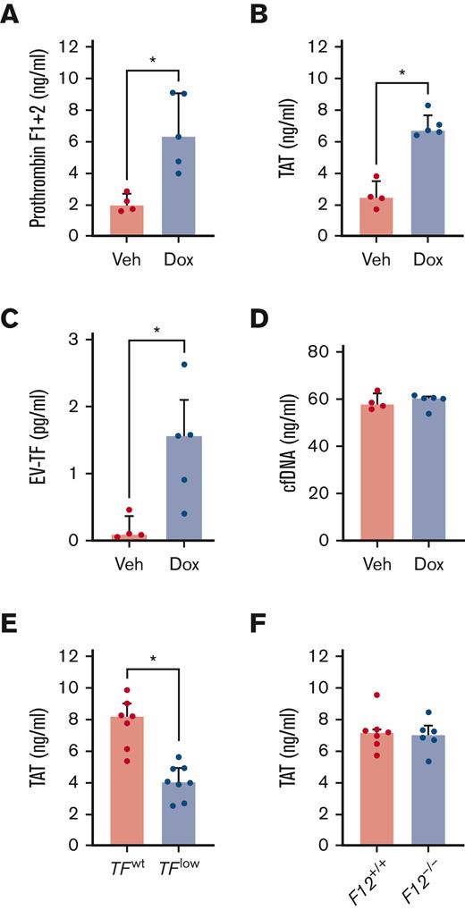 Doxorubicin-induced activation of coagulation in a tissue factor- dependent manner. Levels of markers of activation of coagulation (A) Prothrombin fragment 1+2 and (B) TAT complexes were measured in the plasma of wild-type mice (n = 4-5/group) 24 hours after administration of doxorubicin (Dox) or vehicle control (Veh). Levels of procoagulants, (C) extracellular vesicle tissue factor (EV-TF), and (D) cell-free DNA (cfDNA) were measured in the plasma of wild-type mice (n = 4-5/group) 24 hours after administration of doxorubicin or vehicle control. Levels of TAT were measured in the plasma of (E) TFlow and TFwt or (F) F12+/+ and F12-/- mice (n = 6-8/group) 24 hours after administration of doxorubicin (20 mg/kg). ∗P < .05 Mann-Whitney tests. Data are represented as individual values with the median and interquartile ranges.