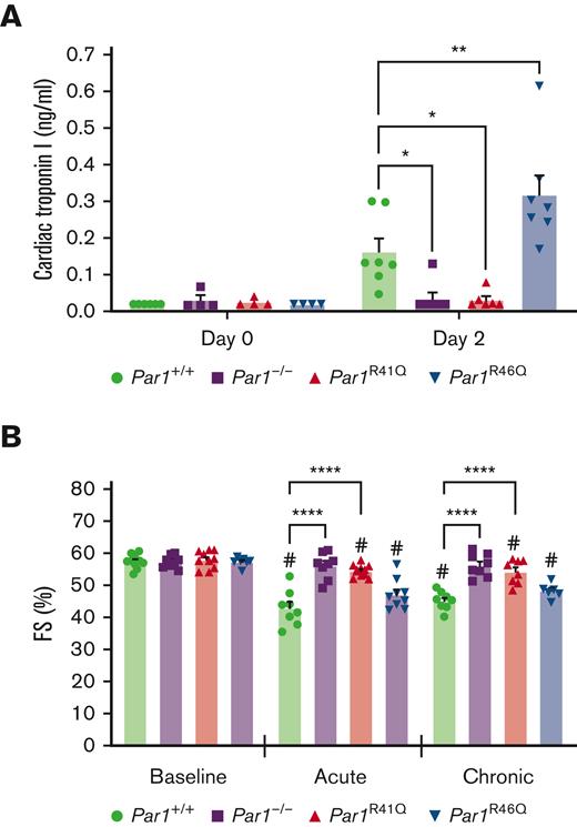 Thrombin insensitive PAR1 transgenic mice demonstrate reduced doxorubicin-induced cardiac injury. (A) Plasma levels of cardiac troponin I were measured in Par1+/+, Par1-/-, Par1R41Q and Par1R46Q mice (n = 4-7/group) at baseline and 48 hours after administration of doxorubicin. (B) LV FS was assessed in Par1+/+, Par1-/-, Par1R41Q, and Par1R46Q mice at baseline and on day 5 in acute and day 35 in the chronic models of doxorubicin-induced cardiac injury by conscious echocardiography (n = 6-11/group). #P < .05 vs baseline of the respective genotype; ∗P < .05; ∗∗P < .01; ∗∗∗∗P < .0001; 2-way ANOVA with post hoc Holm-Sidak tests. Data are represented as individual values with mean and SEM.