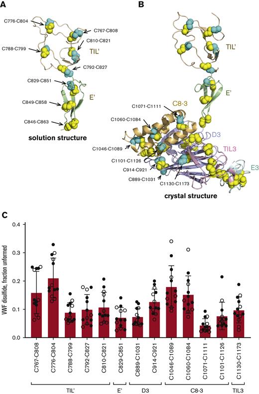 The VWF binding site for FVIII exists in multiple disulfide-bonded states in the circulation. (A) Ribbon representation of the solution structure of the TIL’ (residues 764-827 in wheat) and E’ (residues 828-863 in light green) domains of VWF7 (PDB identifier 2mhq). The cysteine residues comprising the eight disulfide bonds are shown as yellow and cyan spheres and the residue numbers indicated. The cysteines in cyan are those residues where the redox state was measured by differential alkylation and by mass spectrometry. (B) Ribbon representation of the crystal structure of the TIL’ (residues 764-827 in wheat), E’ (residues 828-863 in light green), D3 (residues 864-1037 in light blue), C8-3 (residues 1038-1127 in light orange), TIL3 (residues 1128-1196 in pink) and E3 (residues 1197-1252 in cyan) domains of VWF11 (PDB identifier 6n29). The cysteine residues comprising the 25 disulfide bonds are shown as yellow and cyan spheres and the residue numbers indicated. The cysteines in cyan are those residues where the redox state was measured by differential alkylation and by mass spectrometry. (C) Redox states of five TIL’, 1 E’, two D3, four C8-3 and 1 TIL3 disulfides in 13 healthy human donors (7 male - closed symbols; 6 female - open symbols). The bars and errors are mean ± SD. SD, standard deviation.