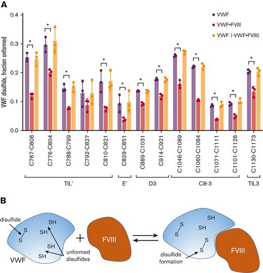 FVIII binding to VWF results in formation of VWF TIL’-TIL3 disulfides. (A) Comparison of the redox states of the VWF TIL’-TIL3 disulfides in 3 healthy human donors (2 males, 1 female) (purple symbols), the plasma VWF bound to human recombinant full-length FVIII (red symbols) and the unbound VWF in plasma following removal of VWF-FVIII complexes (orange symbols). The bars and errors are mean ± SD. Parametric unpaired t test was used to evaluate differences between groups. Significant difference (P < .05) between VWF and VWF-FVIII groups is indicated by ∗. There was no significant difference between the VWF and VWF – VWF-FVIII groups. (B) Model for disulfide-dependent interaction of VWF with FVIII. We suggest that the different disulfide-bonded forms of the TIL’-TIL3 domains of VWF and the inherent conformational flexibility therein facilitate initial interactions with FVIII, and subsequent disulfide formation in VWF results in a productive interaction.