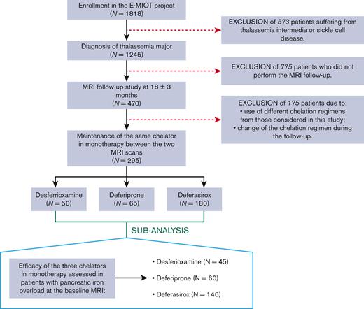 Flow chart of the study population.