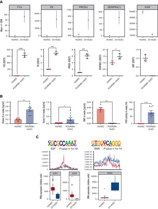 Expression of coagulation factors in HLEC vs HUVEC and prioritized transcription factor drivers. (A) Bulk RNA-seq (upper panel) and reverse transcriptase quantitative polymerase chain reaction based (lower panel) expression of coagulation genes (F8, F10, PROS1, SERPINC1, VWF) in CV HLEC and HUVEC (results presented as mean +/− standard error of the mean). (B) Enzyme-linked immunosorbent assay of 24 hour supernatants of HUVEC and FCGR2B+ HLEC for PROS1, FX, VWF, and activity assay for FVIII. (C) Prioritized denovo motifs enriched in genes downregulated (left) or upregulated (right) in CV HLEC compared with HUVEC (top panel). Corresponding enrichment of known E2F and RXR:RAR motifs in CV HLEC and HUVEC (middle panel), box plot with the expression of E2F3, E2F8 and RARA in CV HLEC and HUVEC in bulk RNA-seq (lower panel). (D) Bulk RNA-seq (upper panel) and reverse transcriptase quantitative polymerase chain reaction based (lower panel) expression of E2F pathway genes (E2F3, E2F8, CCNB2, CDK1, XPO1) in CV HLEC and HUVEC (results presented as mean +/− standard error of the mean).