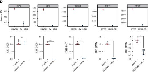 Expression of coagulation factors in HLEC vs HUVEC and prioritized transcription factor drivers. (A) Bulk RNA-seq (upper panel) and reverse transcriptase quantitative polymerase chain reaction based (lower panel) expression of coagulation genes (F8, F10, PROS1, SERPINC1, VWF) in CV HLEC and HUVEC (results presented as mean +/− standard error of the mean). (B) Enzyme-linked immunosorbent assay of 24 hour supernatants of HUVEC and FCGR2B+ HLEC for PROS1, FX, VWF, and activity assay for FVIII. (C) Prioritized denovo motifs enriched in genes downregulated (left) or upregulated (right) in CV HLEC compared with HUVEC (top panel). Corresponding enrichment of known E2F and RXR:RAR motifs in CV HLEC and HUVEC (middle panel), box plot with the expression of E2F3, E2F8 and RARA in CV HLEC and HUVEC in bulk RNA-seq (lower panel). (D) Bulk RNA-seq (upper panel) and reverse transcriptase quantitative polymerase chain reaction based (lower panel) expression of E2F pathway genes (E2F3, E2F8, CCNB2, CDK1, XPO1) in CV HLEC and HUVEC (results presented as mean +/− standard error of the mean).