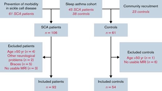 Recruitment flowchart for the study.
