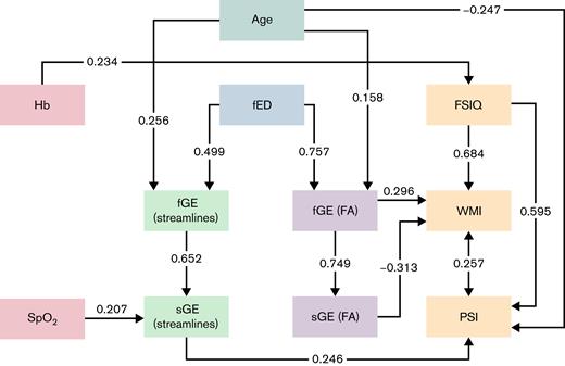 Path analysis diagram showing direct and indirect relationships between blood oxygenation measures (red boxes, left) and cognition (orange boxes, right) in patients. Mediation pathways via unweighted (blue), streamline-weighted (green), and fractional anisotropy-weighted (lavender) network measures appear toward the center of the diagram. Standardized coefficients are shown on solid lines for relationships with P < .05. The double-headed arrow between processing speed index and working memory index reflects a residual covariance term. FA, fractional anisotropy; fED, full-network edge density; fGE, full-network global efficiency; FSIQ, full-scale intelligence quotient; PSI, processing speed index; sGE, subnetwork global efficiency; SpO2, peripheral oxygen saturation; WMI, working memory index.